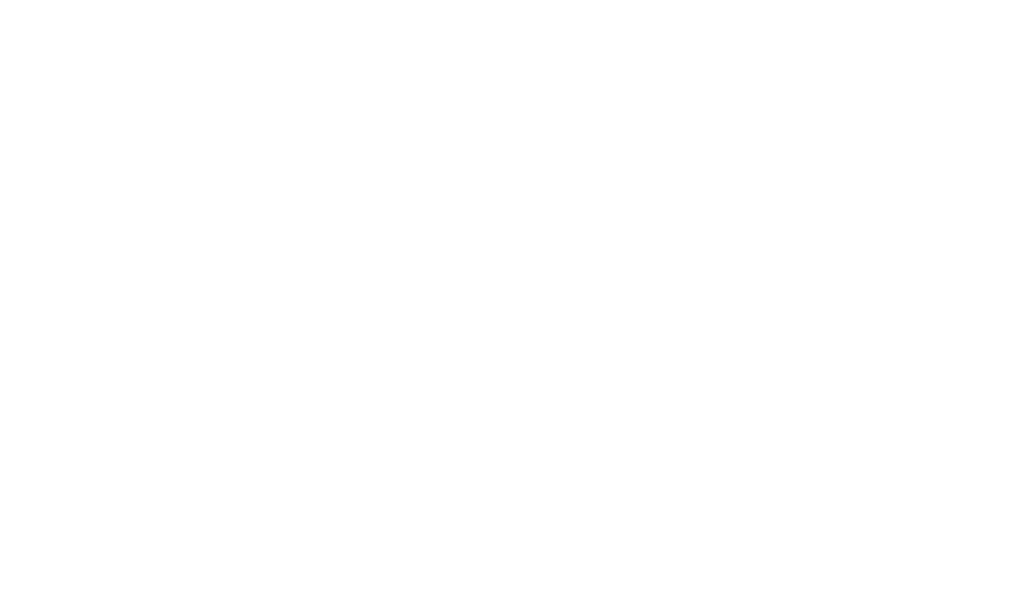 ROI Strategies logo